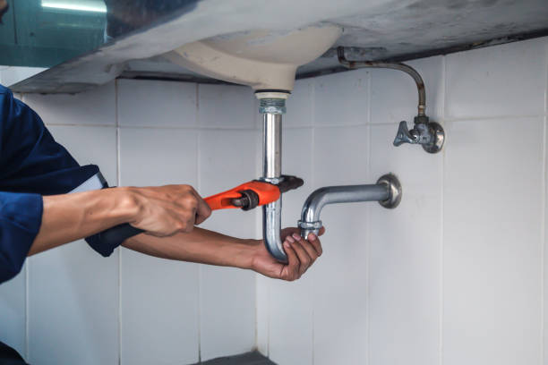 Best Clogged Drain Plumber  in Otsego, MI